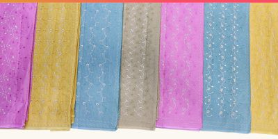 Organdie Cotton Saree 5 by Shree Suchitra